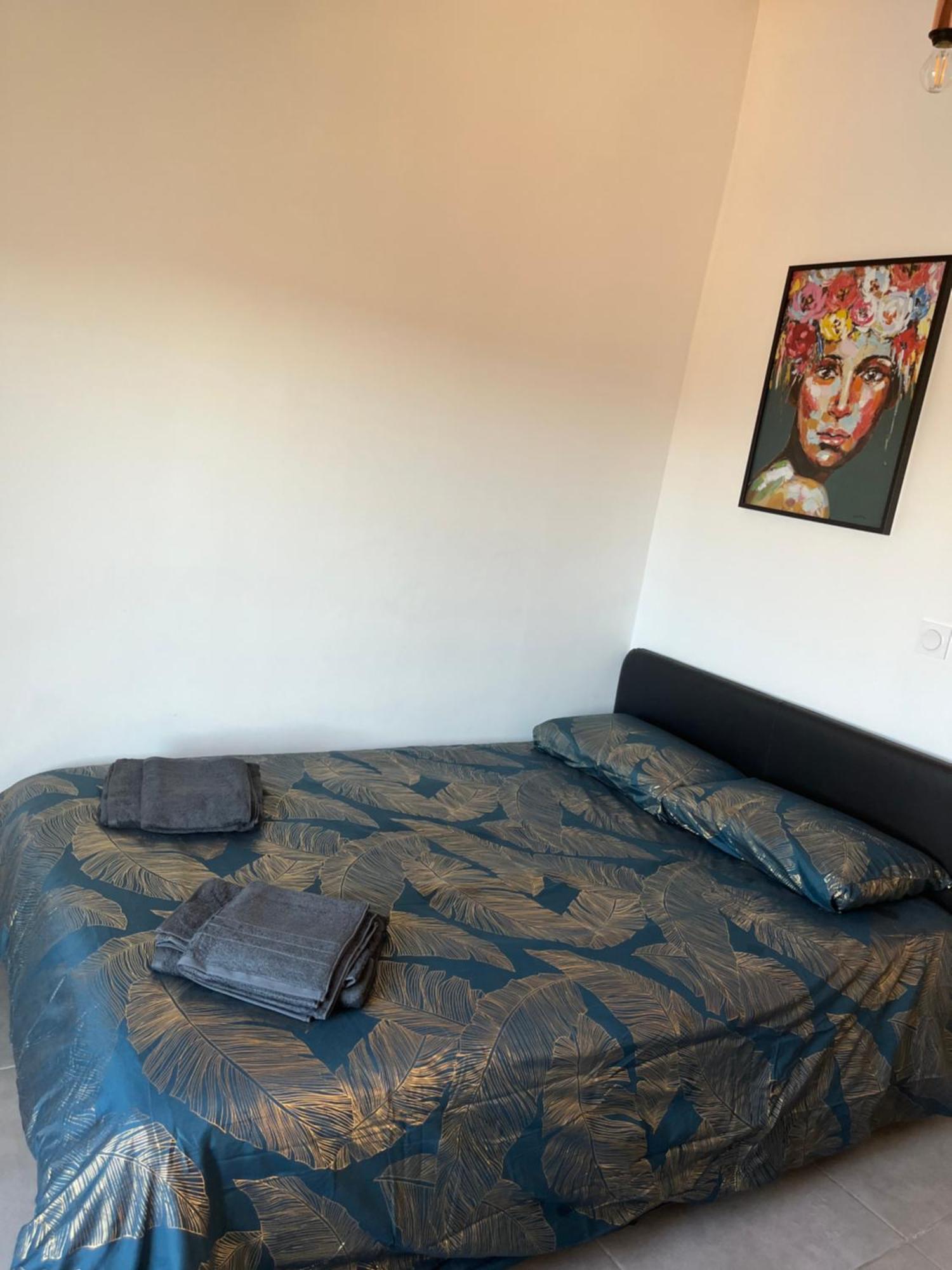 Charmant Appartement Climatise Quartier Las Cobas Perpignan Exteriör bild