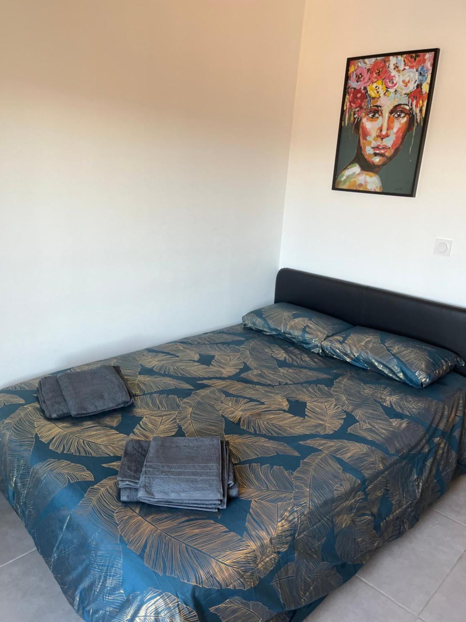 Charmant Appartement Climatise Quartier Las Cobas Perpignan Exteriör bild